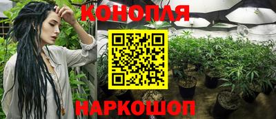 спиды Сланцы