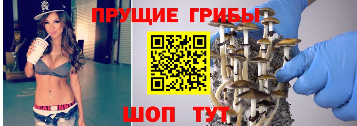 Сунжа  Псилоцибиновые грибы мухоморы  Вход с VPN 